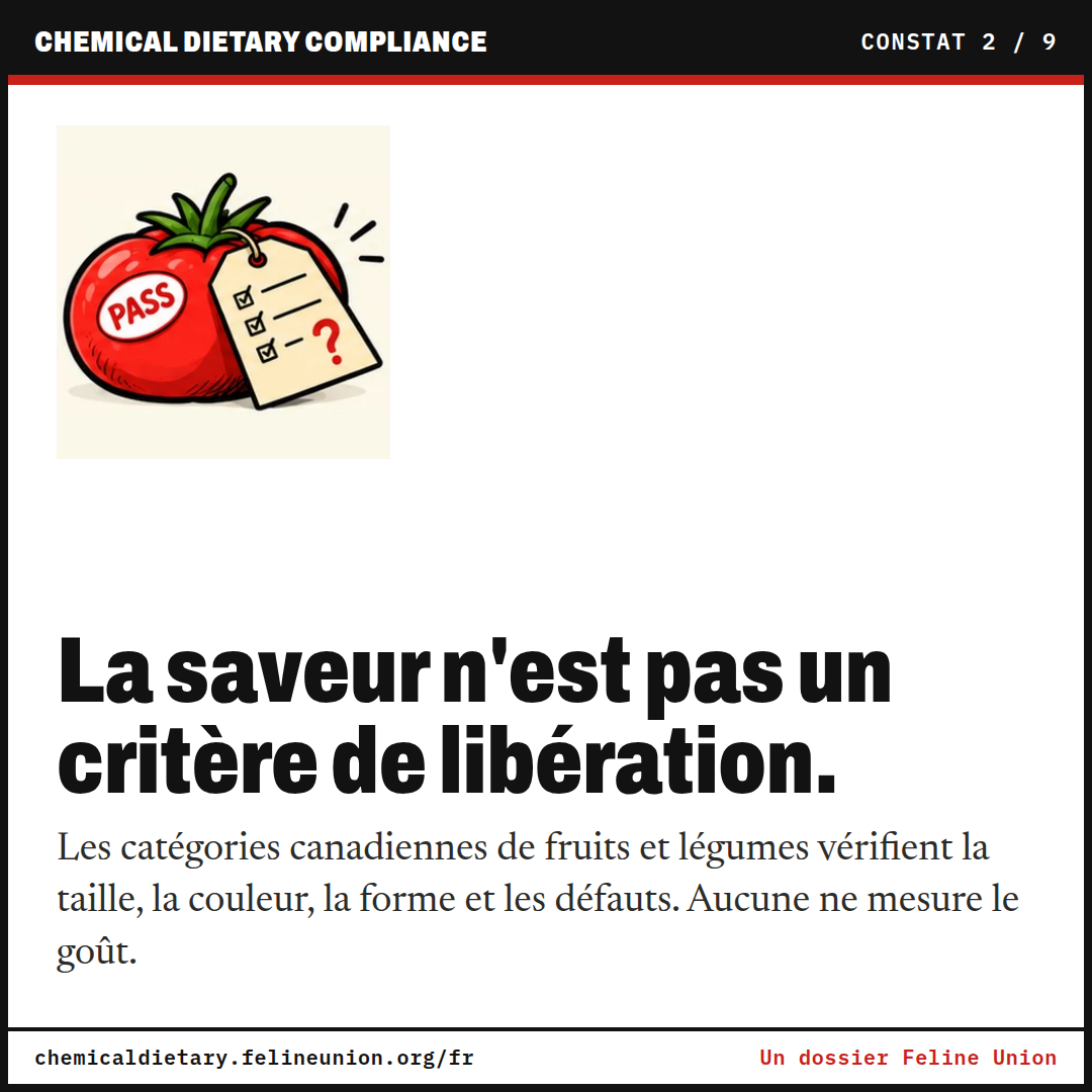 La saveur n'est pas un critère de libération. Les catégories canadiennes de fruits et légumes vérifient la taille, la couleur, la forme et les défauts. Aucune ne mesure le goût.