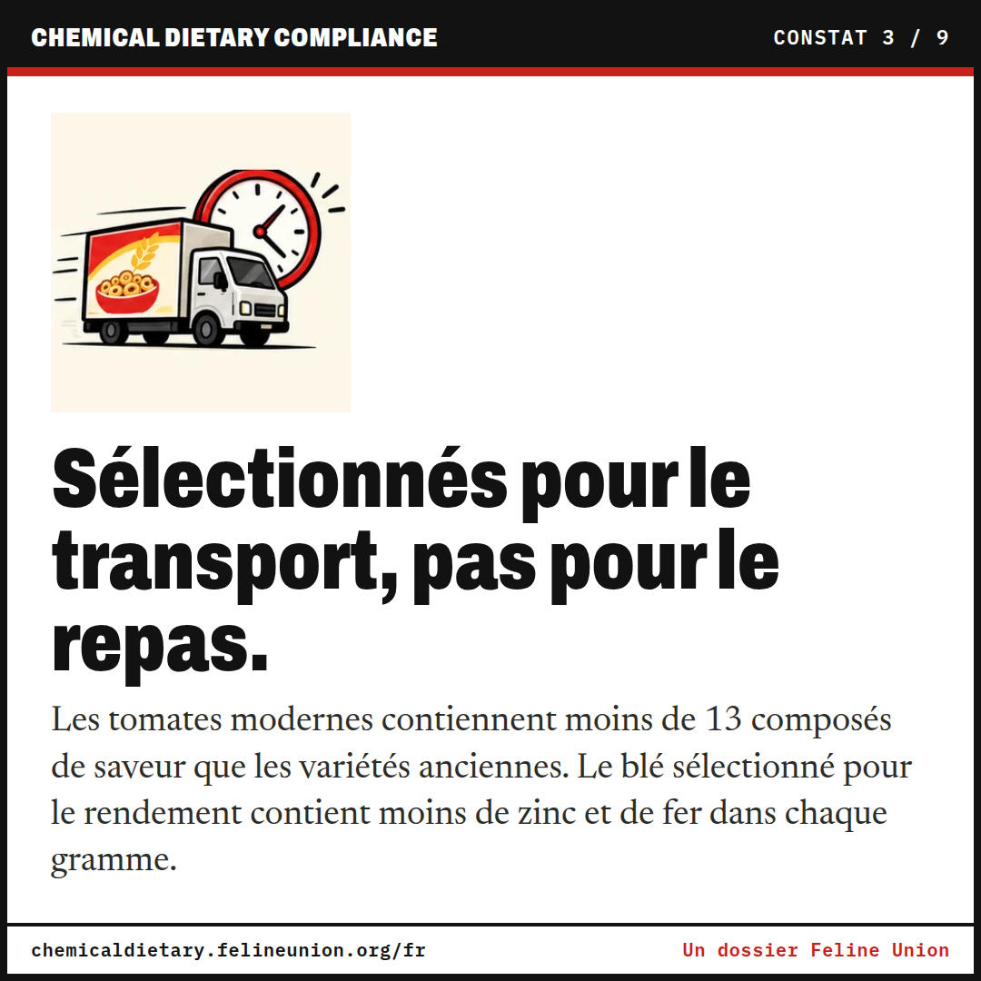 Sélectionnés pour le transport, pas pour le repas. Les tomates modernes contiennent moins de 13 composés de saveur que les variétés anciennes. Le blé sélectionné pour le rendement contient moins de zinc et de fer dans chaque gramme.
