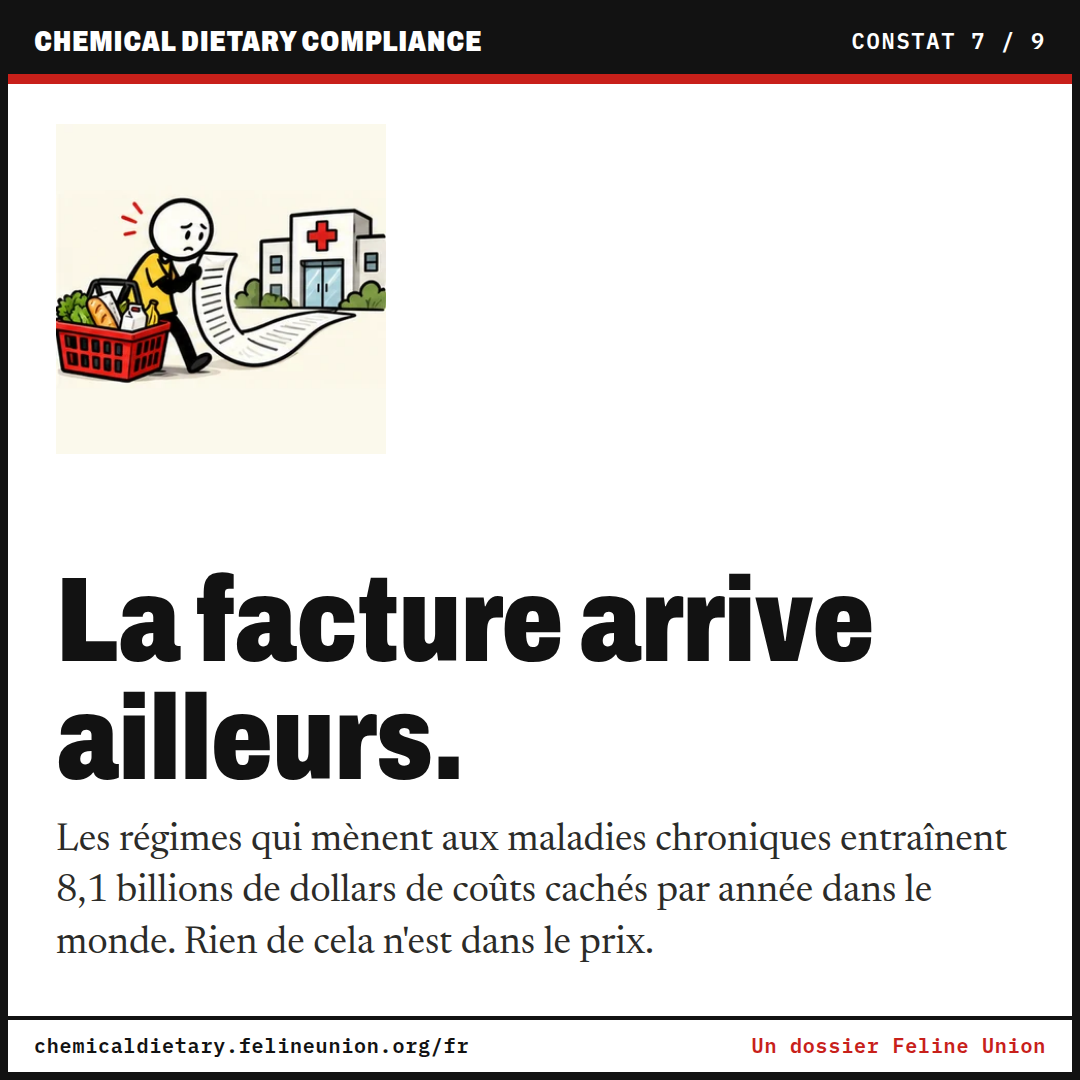 La facture arrive ailleurs. Les régimes qui mènent aux maladies chroniques entraînent 8,1 billions de dollars de coûts cachés par année dans le monde. Rien de cela n'est dans le prix.