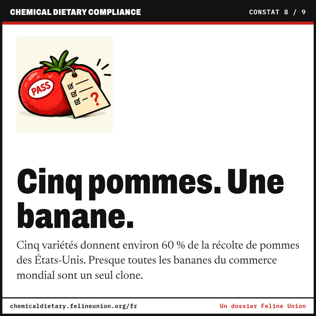 Cinq pommes. Une banane. Cinq variétés donnent environ 60 % de la récolte de pommes des États-Unis. Presque toutes les bananes du commerce mondial sont un seul clone.