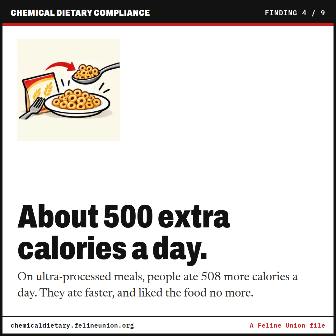 About 500 extra calories a day. On ultra-processed meals, people ate 508 more calories a day. They ate faster, and liked the food no more.